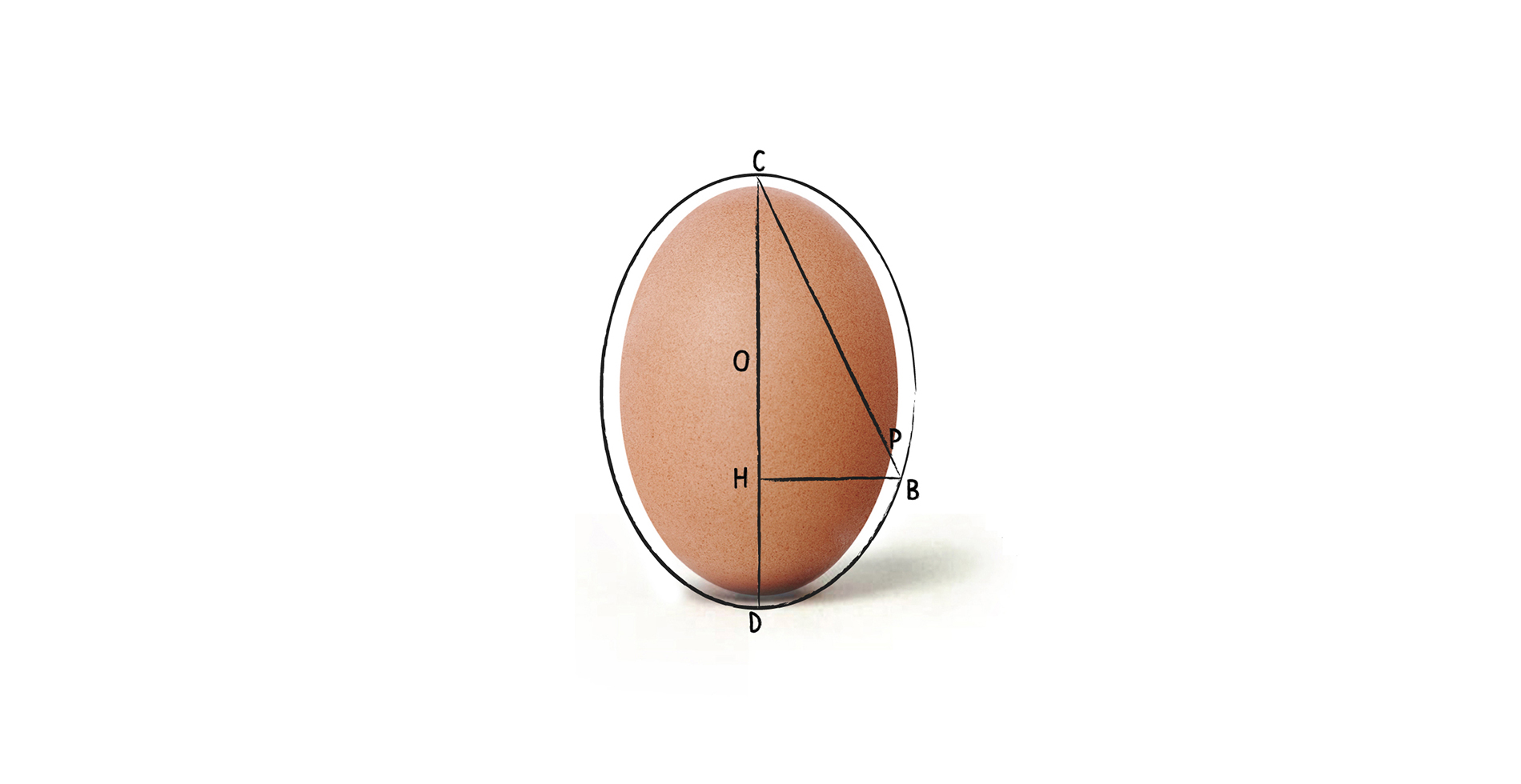 Bowl | Sanitari di ceramica inspirato uovo | Arredo bagno | Design by Antonio Pascale per Ceramica Globo